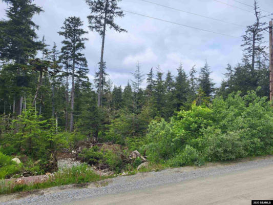 LOT 51C LEGAL ADDRESS ONLY, ANGOON, AK 99820 - Image 1