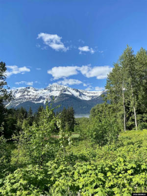 LOT A LEGAL ADDRESS ONLY, HAINES, AK 99827, photo 4 of 8
