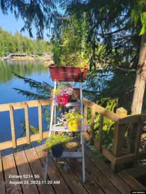 LEGAL ADDRESS ONLY, REMOTE/RECREATIONAL, AK 99901, photo 5 of 25